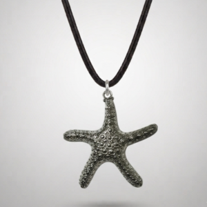 Silver Starfish