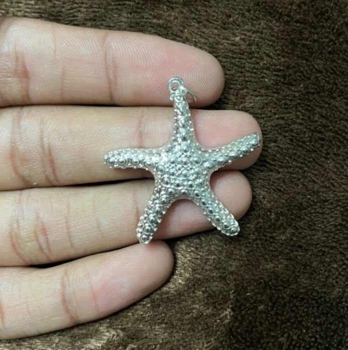 Silver Starfish - Image 2