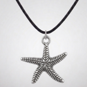 Small Starfish