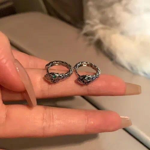 Unisex Punk Snake Clip Earrings in Alloy with Electroplated Finish
