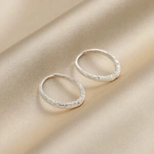 Round Silver Alloy Earrings for Women Featuring Electroplated Finish with Copper Ear Pins